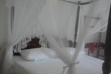 Pensão Peacock Wings Guest