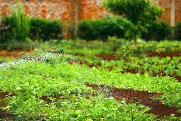 فندق Farm Of Dreams Lodge