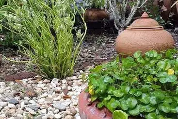 בית מלון כפרי Rimpu Hill Resort