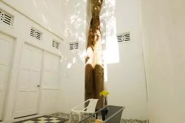 La Casa Del Piano Hotel Boutique By Xarm Hotels