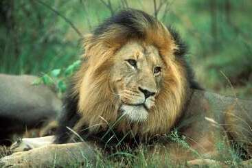 Pension Sunbird Lodge