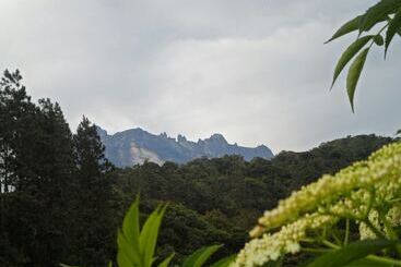 펜션 Ayana Holiday Resort