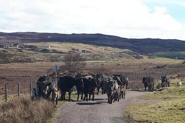 Bed and Breakfast Tirindrish House