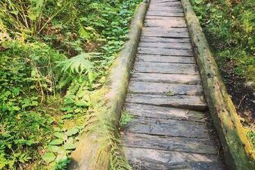 הוסטל Amdenlodge   Berg Chalet In Amden Am Walenssee   Event, Seminar, Ferienlager