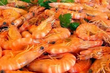 Aamiaismajoitus (B&B) Weligama Ancient Mural