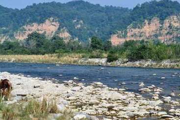 فندق Vanya River Lodge