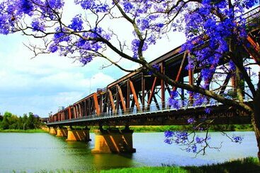 فندق Bent Street Motor Inn