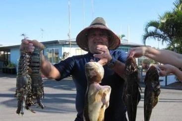 호텔 Kurrimine Beach Holiday Park