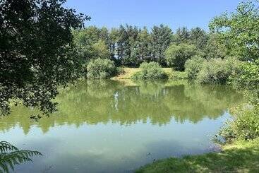 관광객 아파트 St. Tinney Farm