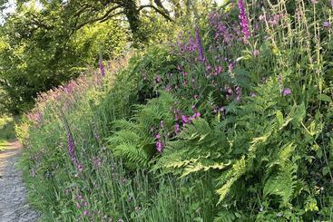 Жильё для туристов St. Tinney Farm