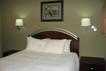 酒店 Beachcomber Inn