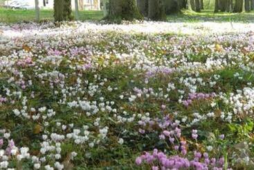 ベッドアンドブレックファースト La Foutelaie