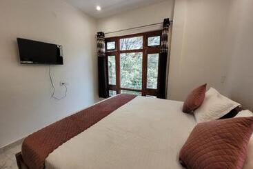 פנסיון The Tree Lounge