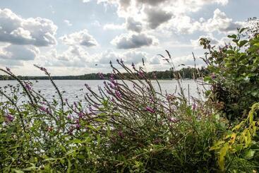 酒店 & Restaurant Raueneck