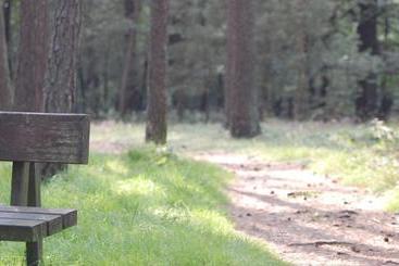 ホテル Heideapartments