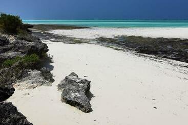 Rafiki Backpackers Hostel