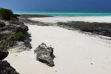 Rafiki Backpackers Hostel