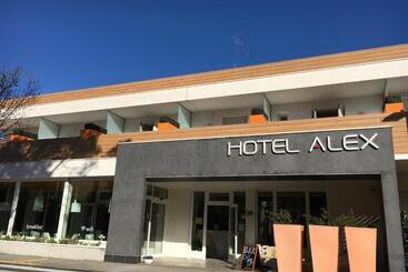 Hotel Alex