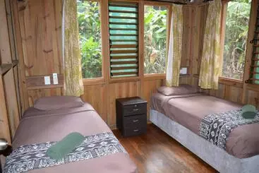 Hotel Rainforest Eco Lodge