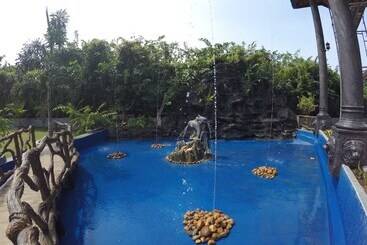 膳宿费 Dhammika Magic Palace