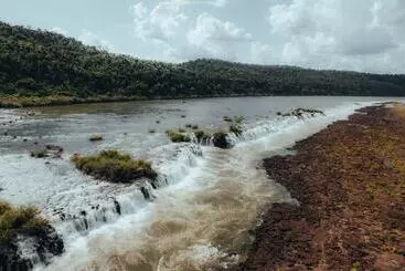 Margay   Reserva Natural Y Lodge