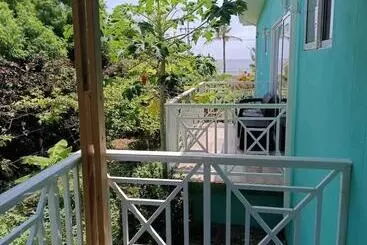 Aamiaismajoitus (B&B) Blue Lizard House