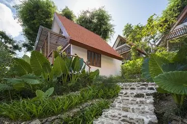 Deep Roots Dive & Yoga Resort