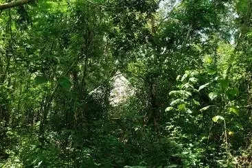 Belilula Xeiba