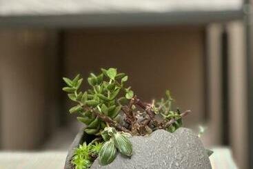 هاستل The Kliefs Vilnius   Virtual Check In