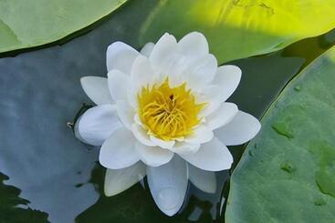 Отель Bella Marina