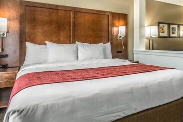 Otel Comfort Suites Dunnellon Near Rainbow Springs