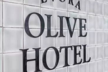 Hotel Evora Olive