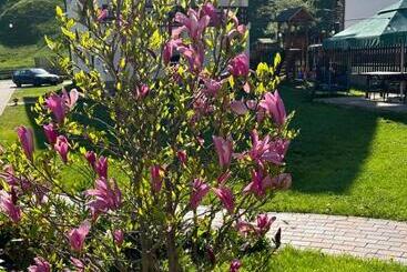 پانسیون Casa Mia