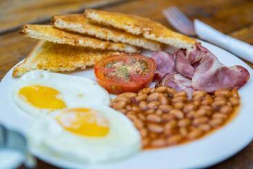 هاستل Jollyboys Backpackers