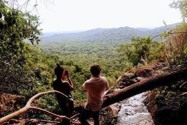 ホテル Palmento Grove Garifuna Eco Cultural & Healing Institute