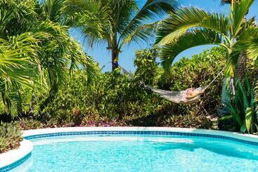 هتل The Oasis At Grace Bay