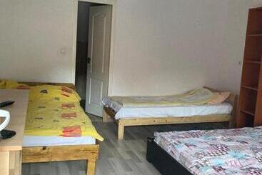 Pensiunea Casa Roman