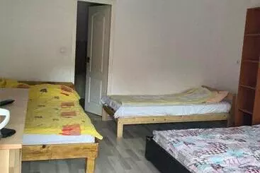 Pensiunea Casa Roman