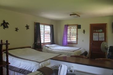 ホテル River House Lodge