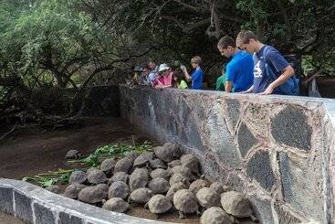 فندق Iguana Crossing Boutique