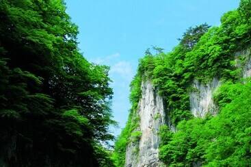 בית מלון כפרי Musashibou