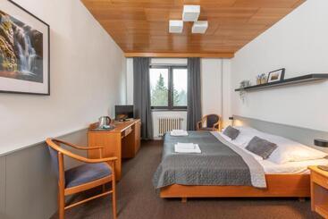 Wellness Hotel šedý Vlk