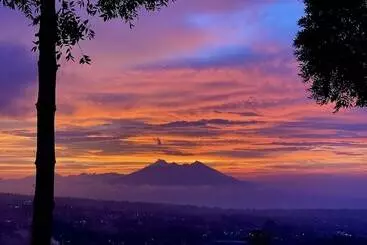 Hotel Alinson Sunset Hill By Zuzu