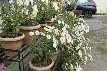 Parijat Pg Girls Hostel