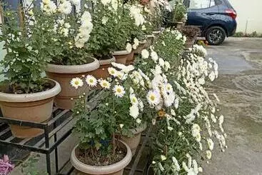 Parijat Pg Girls Hostel