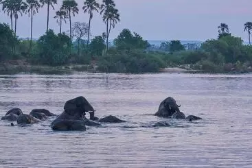 پانسیون Room In Villa Zambezi Family Lodge Leopard Room