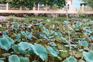 Hotel Trang An Elegant Homestay