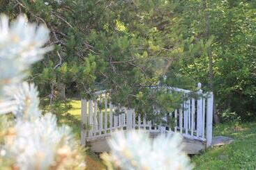 Historic Seaton Springs Farm B&b   J Seaton King Room & Private Bath