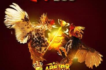 בית מלון כפרי Daftar Sv388 Agen Sabung Ayam Online Deposit Dana