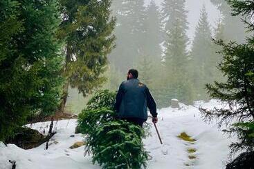 Pensão Villa Viktoria Mestia